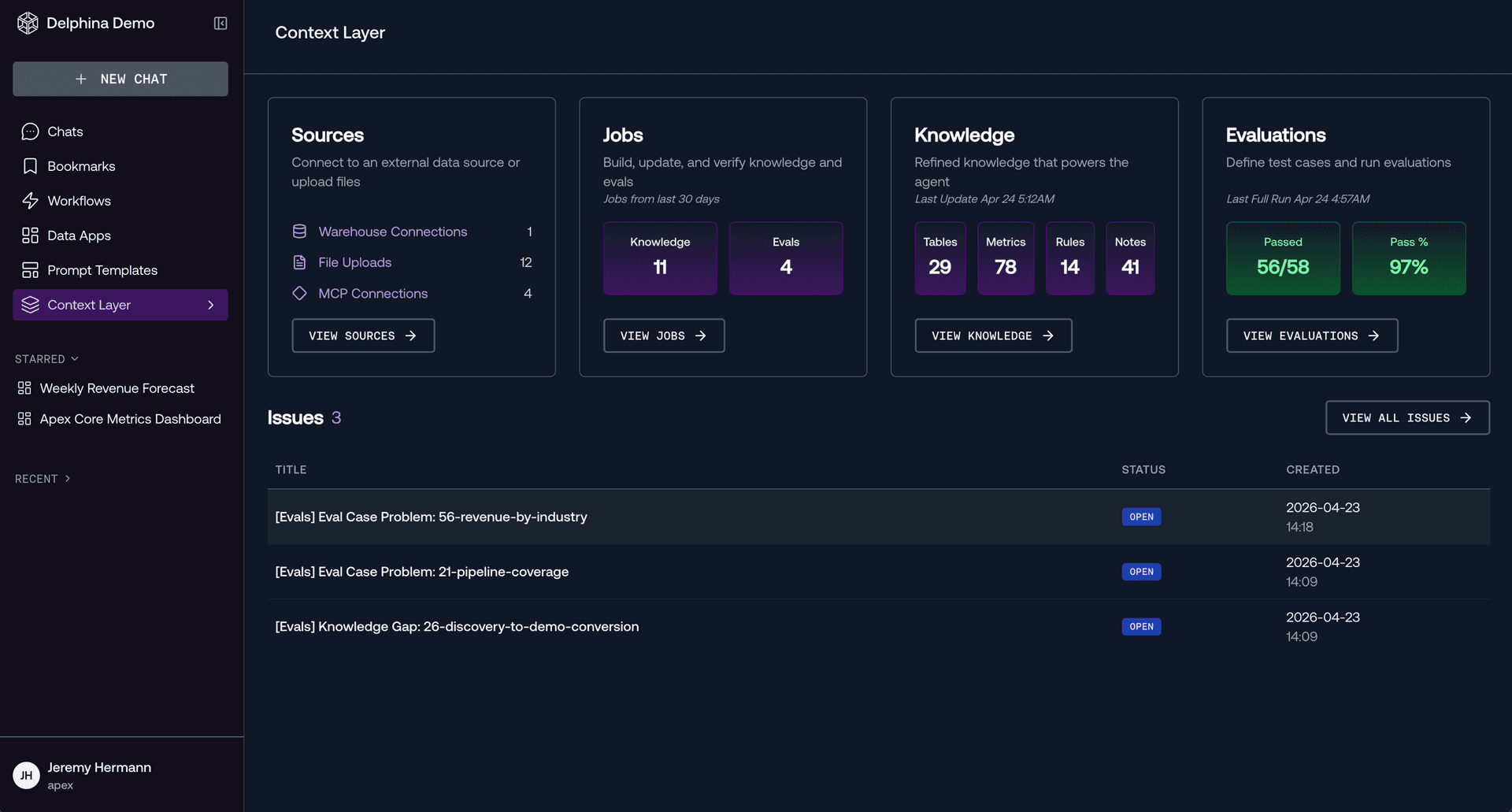 Delphina analytics context layer interface
